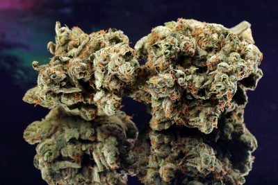 Cannabis Photography